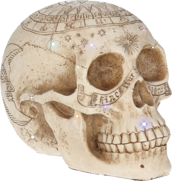 Mes créations tube crâne