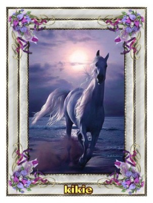 Mes créations cadre