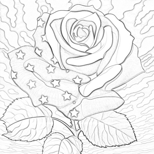 Mes créations effet dessin